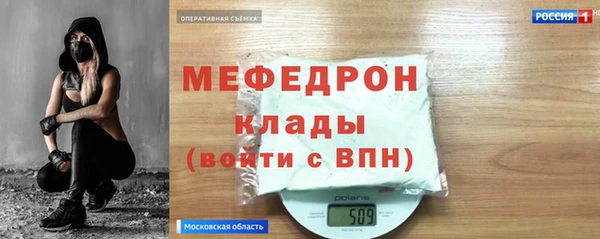 индика Пестово