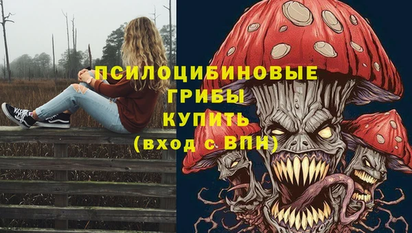 2c-b Белокуриха