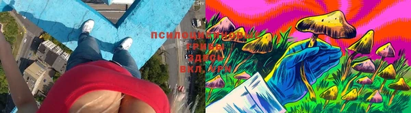 амф Беломорск