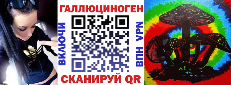 где можно купить Вязники Галлюциногенные грибы Psilocybine cubensis