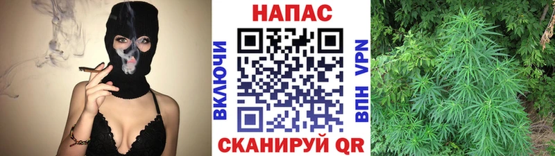 Каннабис план Вязники